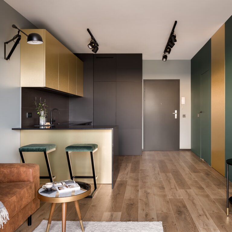 Open,Layout,,Small,And,Modern,Designed,Apartment,With,Green,Walls,